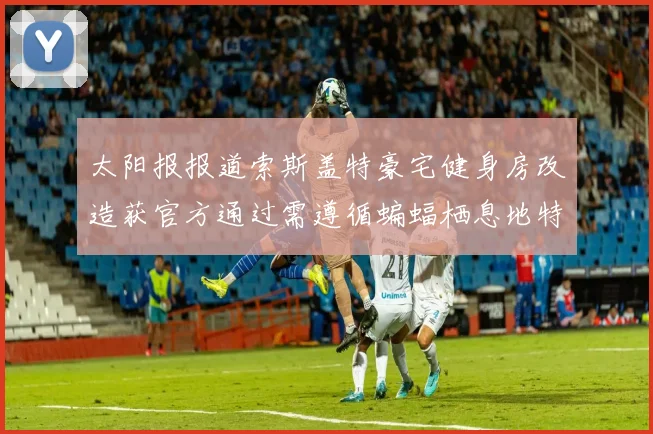 太阳报报道索斯盖特豪宅健身房改造获官方通过需遵循蝙蝠栖息地特殊规定