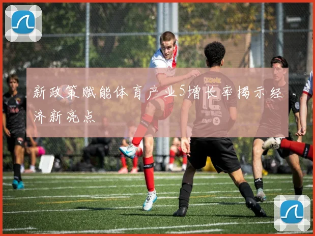 新政策赋能体育产业5增长率揭示经济新亮点